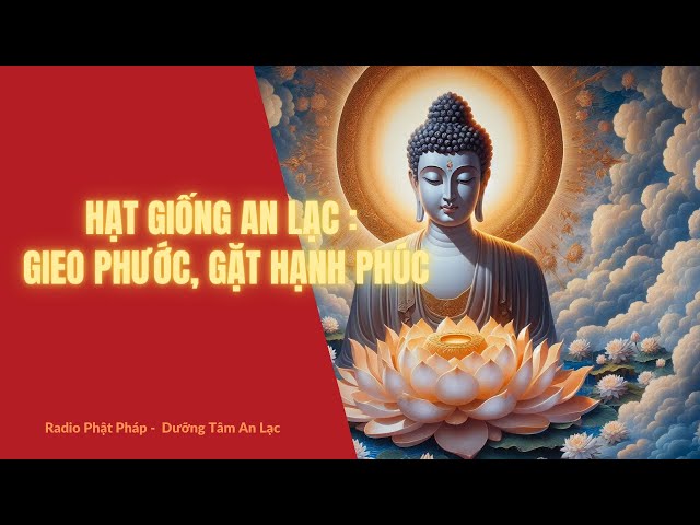 Điều Phật dạy để được Hạnh Phúc. #phatphap #loiphatday #podcast