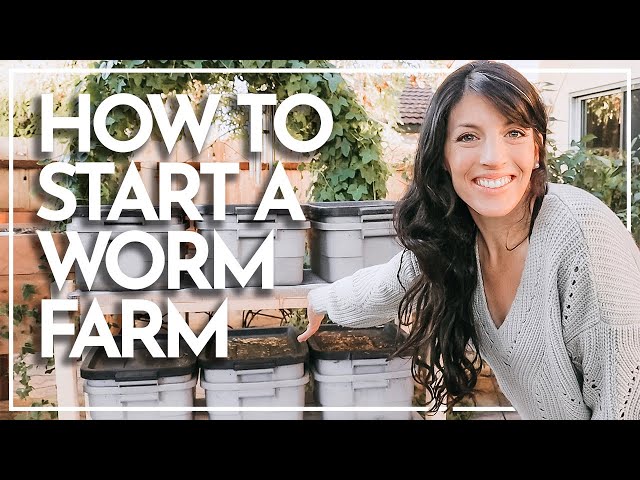 HOW TO START A WORM FARM | DIY Worm Farm | Worm Farm Setup | Hey It's a Good Life