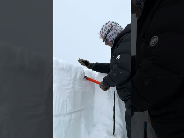 Extended Column Test (ECTP 11), North Shoulder of Logan Peak, 1/7/24