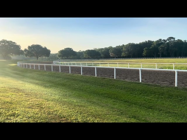 VRP’s 2 Yr-Old Colt Rock It (Inside) Tues 4/23/24 @ Eisaman’s Training In Ocala, FL