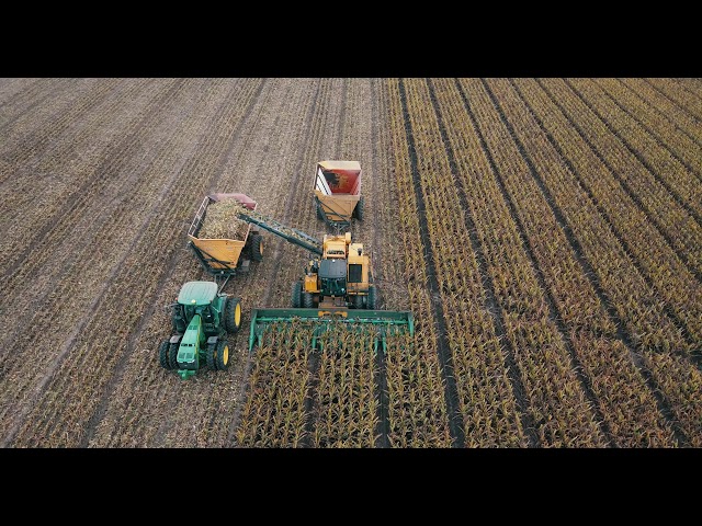 Tom Farms Seed Corn Harvest