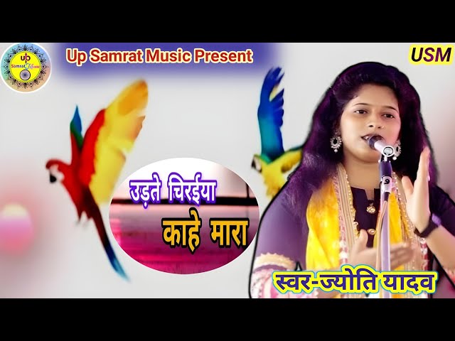 उड़ते चिरइया काहे मारा ! udate chiraiya kahe mara#Jyoti Yadav  #birha lokgeet#viralvideo mahakumbh