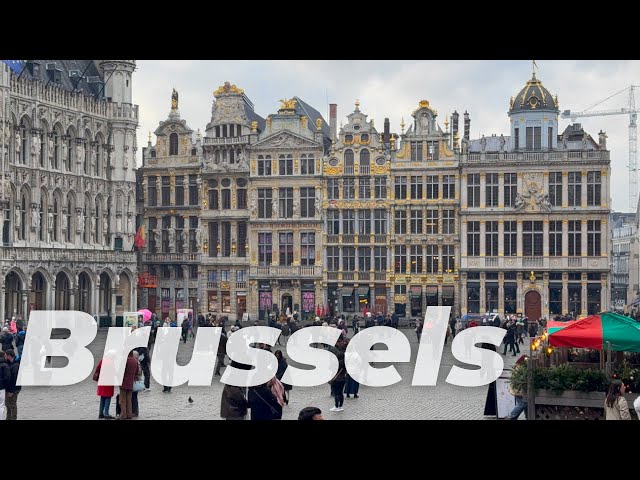 Brussels the capital of Belgium Walking Tour | 4K HDR Dolby Vision