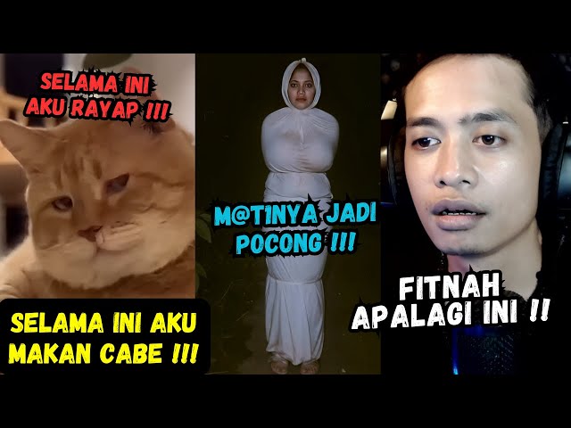 FITNAH TERKEJAM KUCING !!! react video viral lucu