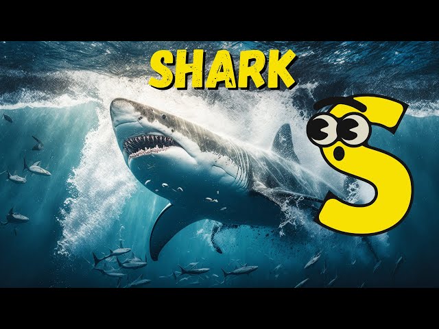 Ocean Giants ABC Song | Shark, Whale, Dolphin🦈🐋🐬 | Alphabet Song for Kids🐠🌊🎶|#kids #alphabet