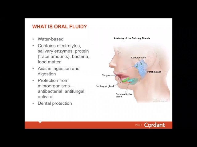 Oral Fluid (Saliva) Drug Testing 101 – Cordant Health Solutions