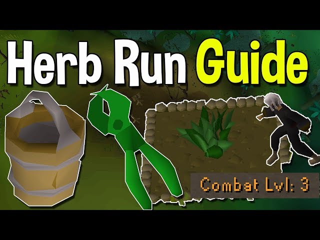 How to Complete Your First Herb Run From Scratch! A Beginner Guide to a Basic Herb Run![OSRS]