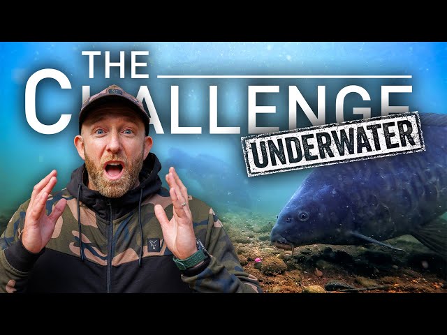 Underwater Special 🤿 | The Challenge with Mark Pitchers | Carp Fishing