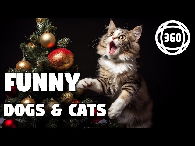 360 VR: New Year's Animals 🐾 FUNNY Dogs and Cats 🐶🐱 vs Christmas Trees 🎄