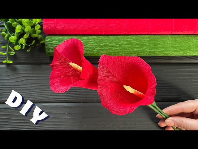 How to Make Calla Easy Paper Flowers DIY Paper Craft Ideas Tutorial