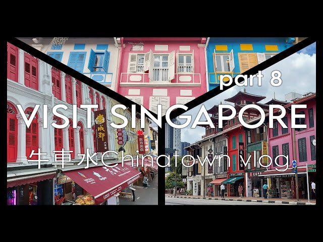 VISIT SINGAPORE VLOG Part 8 | Chinatown 牛車水, Buddha Tooth Relic Temple, Hawker Centre, Lao Pa Sat 🇸🇬