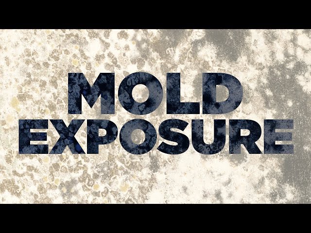 How To Know If Mold Is In Your Home!