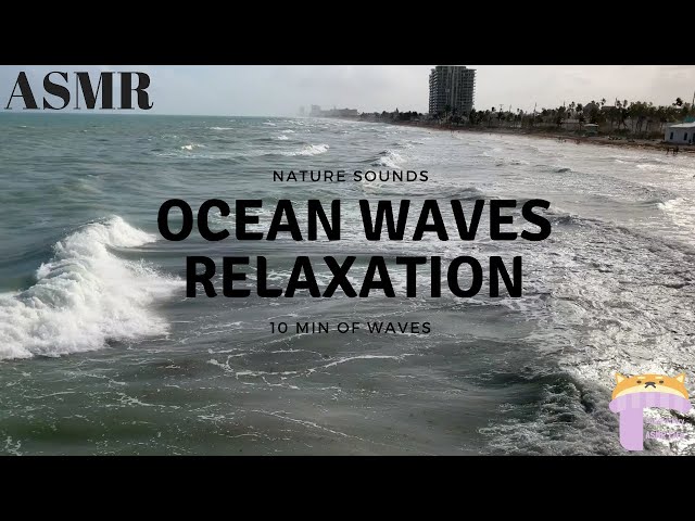 ASMR Ocean Waves (Miami beach) 10 Min Relaxation, Nature Sounds