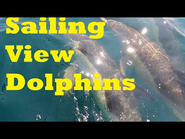 Sailing View of the Dolphins