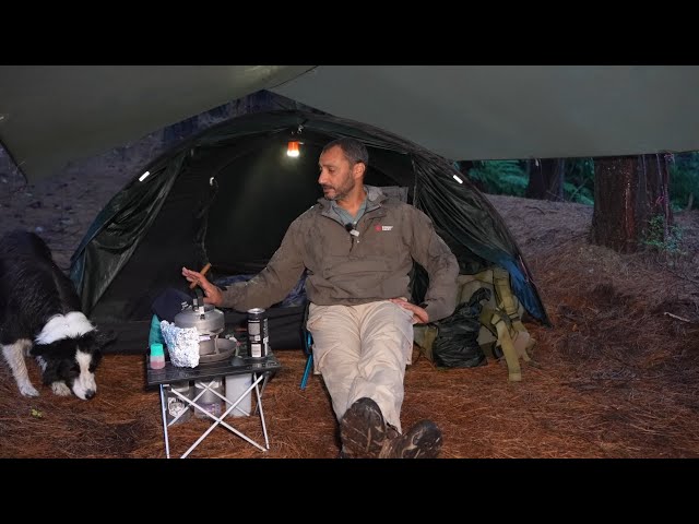 CAMPING in Heavy RAIN STORM with Dog - ASMR