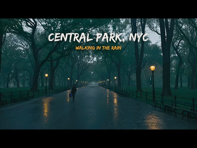 Walking in the Rain CENTRAL PARK, NYC | Binaural Heavy Rain Umbrella Thunder & Nature Sounds