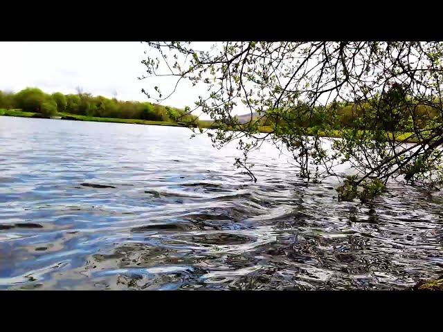 RELAXING AND CALMING LAKE SCENE