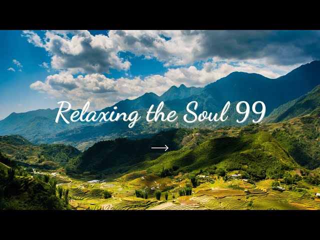 Relaxing Music | Peaceful Piano Music | Water Sounds Music | Calm Your Mind