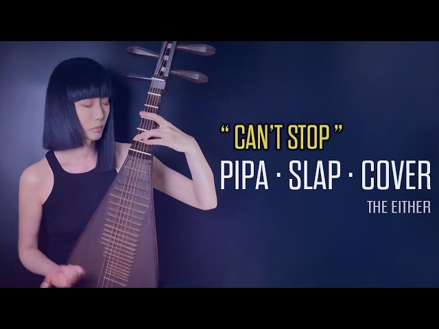 【Cover】Can't Stop- Red Hot Chili Peppers - Pipa Slap