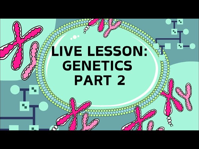 Live lesson: Genetics Part 2 sex linked diseases and pedigree diagrams