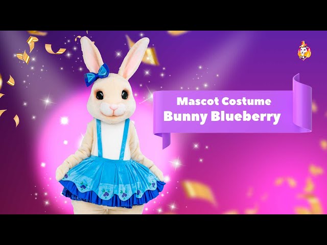 Bunny Blueberry  Mascot Costume