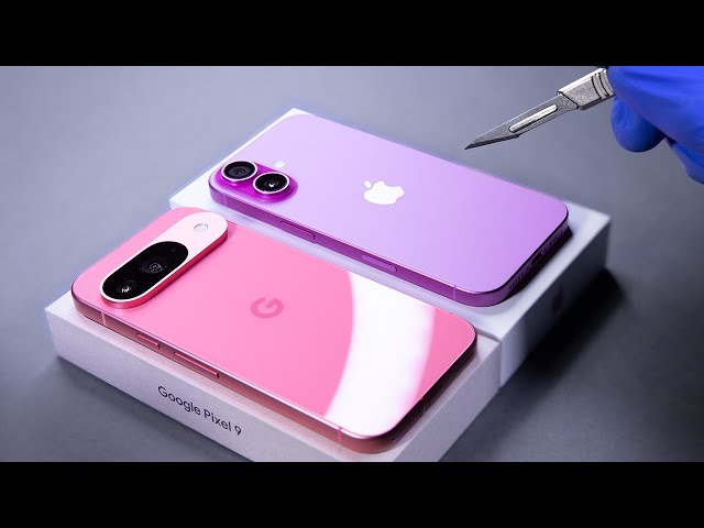 iPhone 16 vs Pixel 9 Unboxing and Camera Test! - ASMR