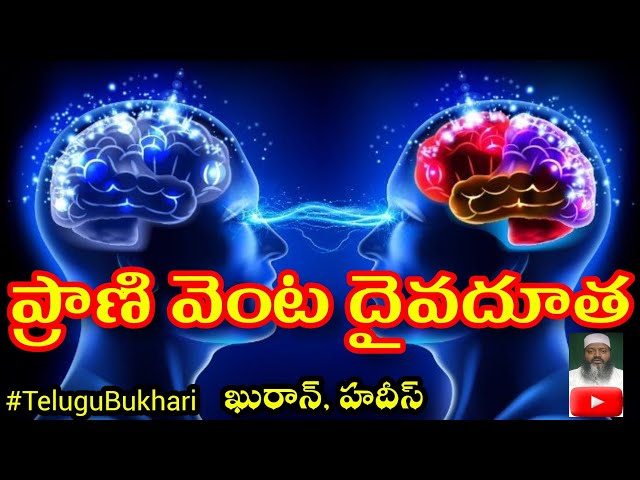 In the name of Allah, the Gracious, the Merciful Quran islam #Telugu #Shorts #Viral #TeluguBukhari