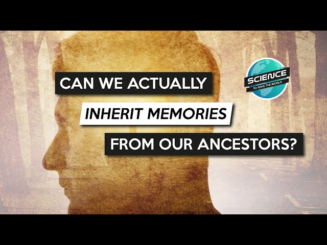 Can We Inherit Memories From Our Ancestors? Is Genetic Memory Real?