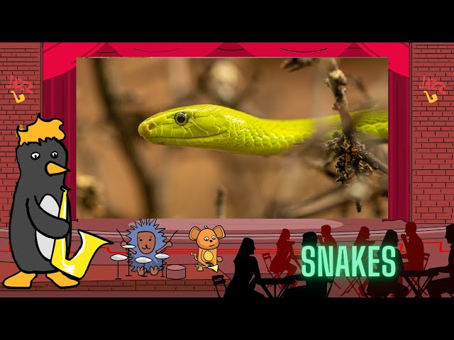 Jazz Baby: Snakes by Oxbridge Baby