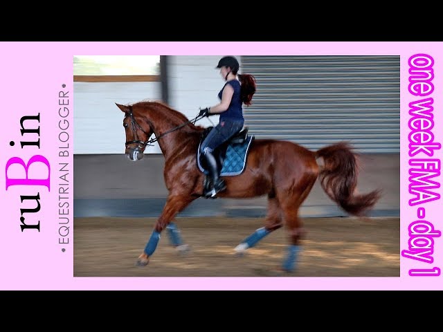 ! Reiten, Fertig machen & Versorgen - ONE WEEK FMA | DAY 01