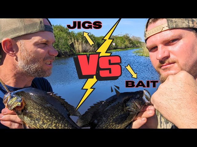 FLORIDA SPECK FISHING - Bait Vs Jigs! | Loser Swims With The Gators!