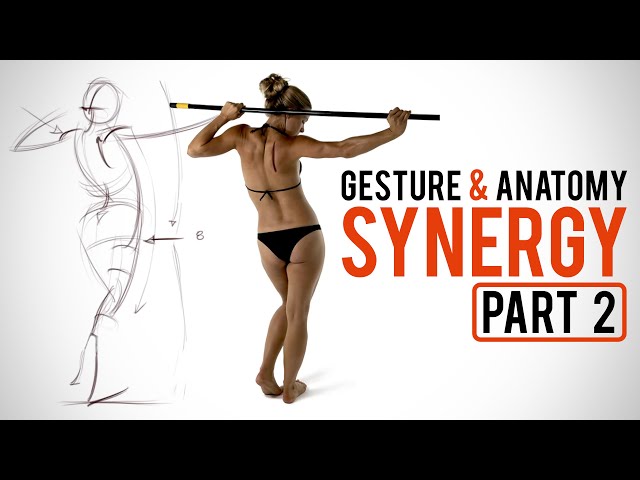 Combining Gesture and Anatomy - Step by Step