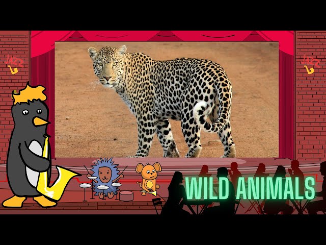 Jazz Baby: Wild Animals by Oxbridge Baby