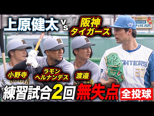 上原健太vs阪神タイガース 2軍練習試合 2回無失点被安打0＜2/20ファイターズ春季キャンプ2025＞