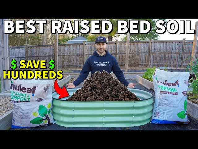 Stop WASTING MONEY Filling Raised Beds! Fill Them Like This.