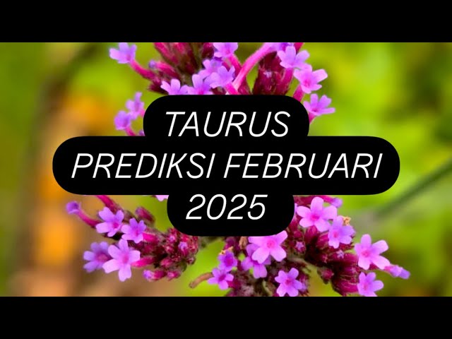 ♉️TAURUS, PREDIKSI FEBRUARI’25 UNTUKMU🌼 #tarotputrisolo #taurus #prediksifebruari #generalreading