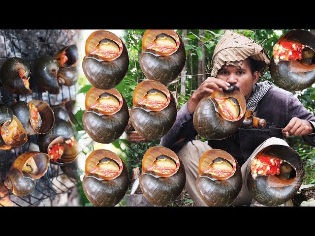 Primitive Technology, How I Roasted Incredible Snails Very Spicy?