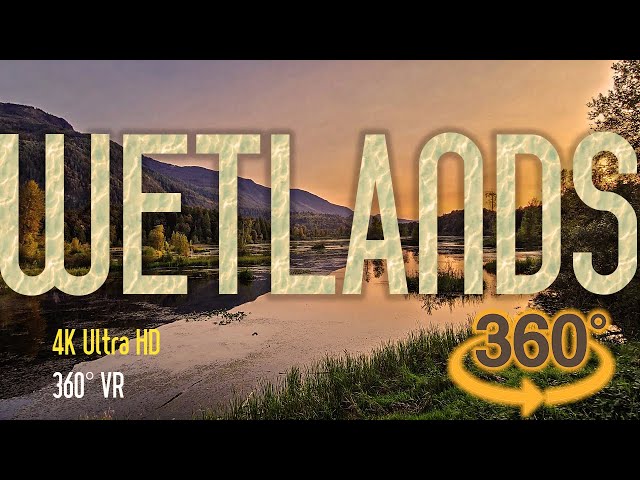 🕰20 minutes - Meditation 360° VR Virtual Tour | 🙂😄😃😀 Peace of Mind & Calmness