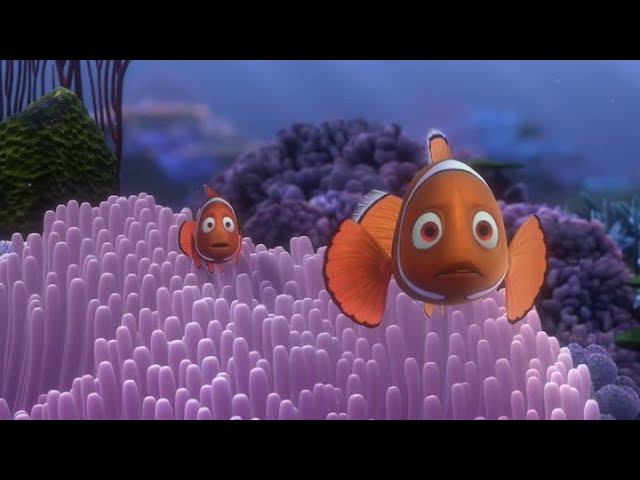 Did Coral Drop The Egg While Trying To Escape!? (Finding Nemo Analyzation/Theory)