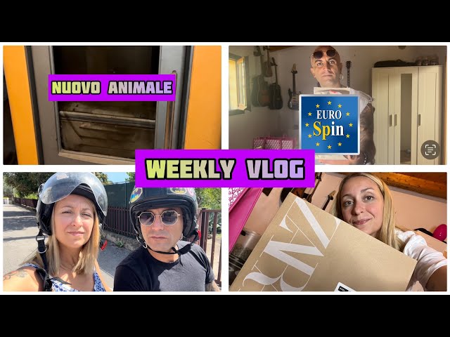 WEEKLY VLOG Caterina si è operata, LUCA Svuota la spesa E Chiara pulisce casa con TINECO