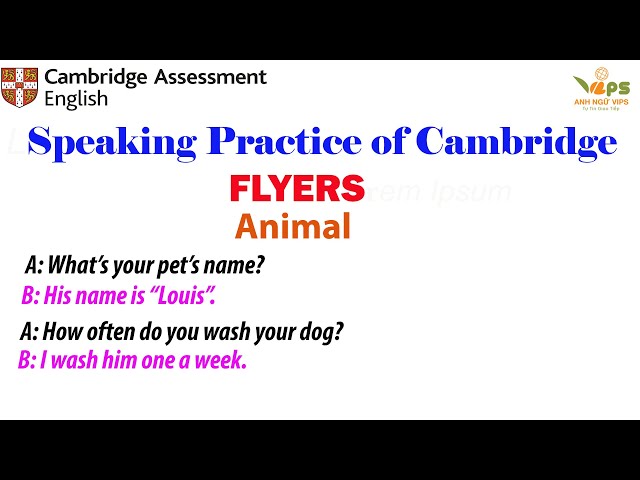 Speaking Practice - FLYERS - Animal