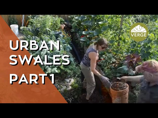 Urban Swales: Construction with Weeping Tile & Mulch ~ Hugelkultur (pt1)