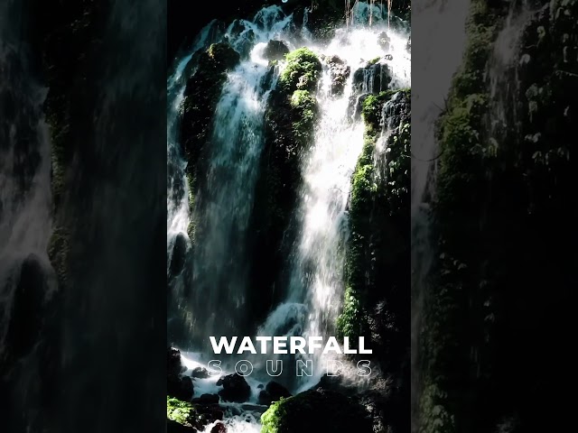 BEAUTIFUL NATURE 🍃 Waterfall Sounds #waterfall #naturesounds 🍃