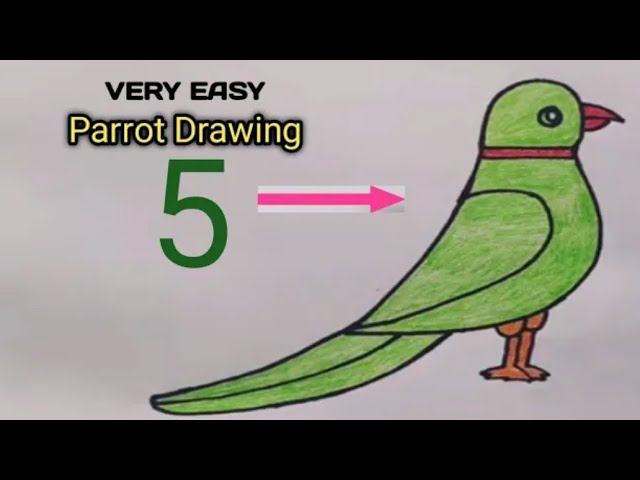 How to draw Parrot From Number 5 | Parrot Drawing Easy | Bird Drawing / Parrot Drawing With Colour