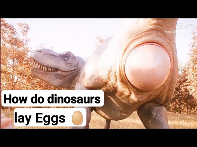 Dinosaurs Laying Eggs: What Really Happened? 🦕 🥚