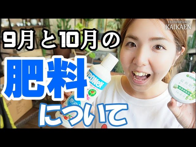 9月・10月　観葉植物の　肥料について　固形肥料　液体肥料　違いは何？　どれぐらいで効くのか　どっちの肥料がいいのか　持続性　即効性　水やりの仕方　【おうちでガーデニング】開花園チャンネル