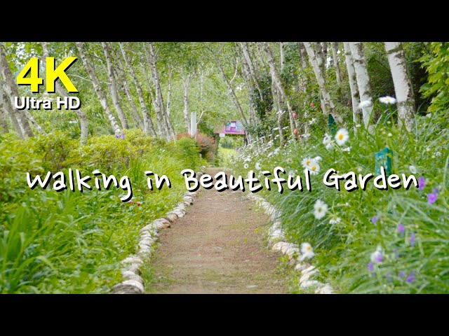 walking in the beatiful garden | 4K Beatiful Nature Scenery in South Korea