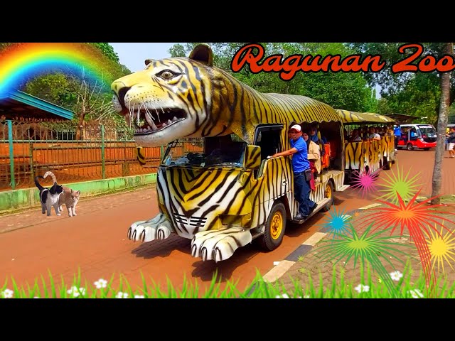 Odong Odong Ragunan Zoo / Naik Odong Odong / Odong Odong Karakter Harimau