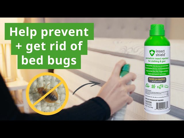 How to Prevent and Treat Bed Bugs with Permethrin Spray