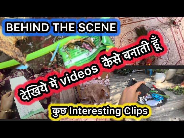 Behind The Scenes | देखिए मैंVideos कैसे शूट करती हूँ  #crassula#mygardenpoint